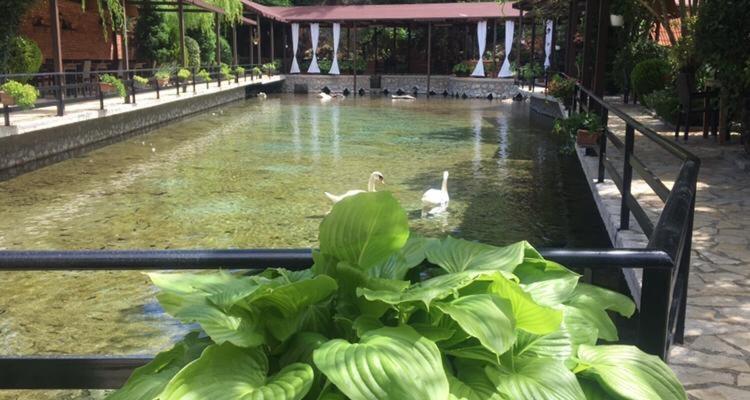Rritja E Koranit Hotel Tushemisht Luaran gambar
