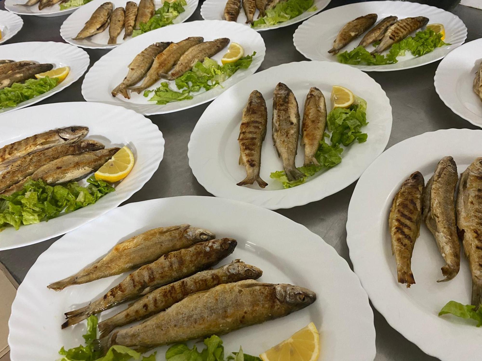 Rritja E Koranit Hotel Tushemisht Luaran gambar