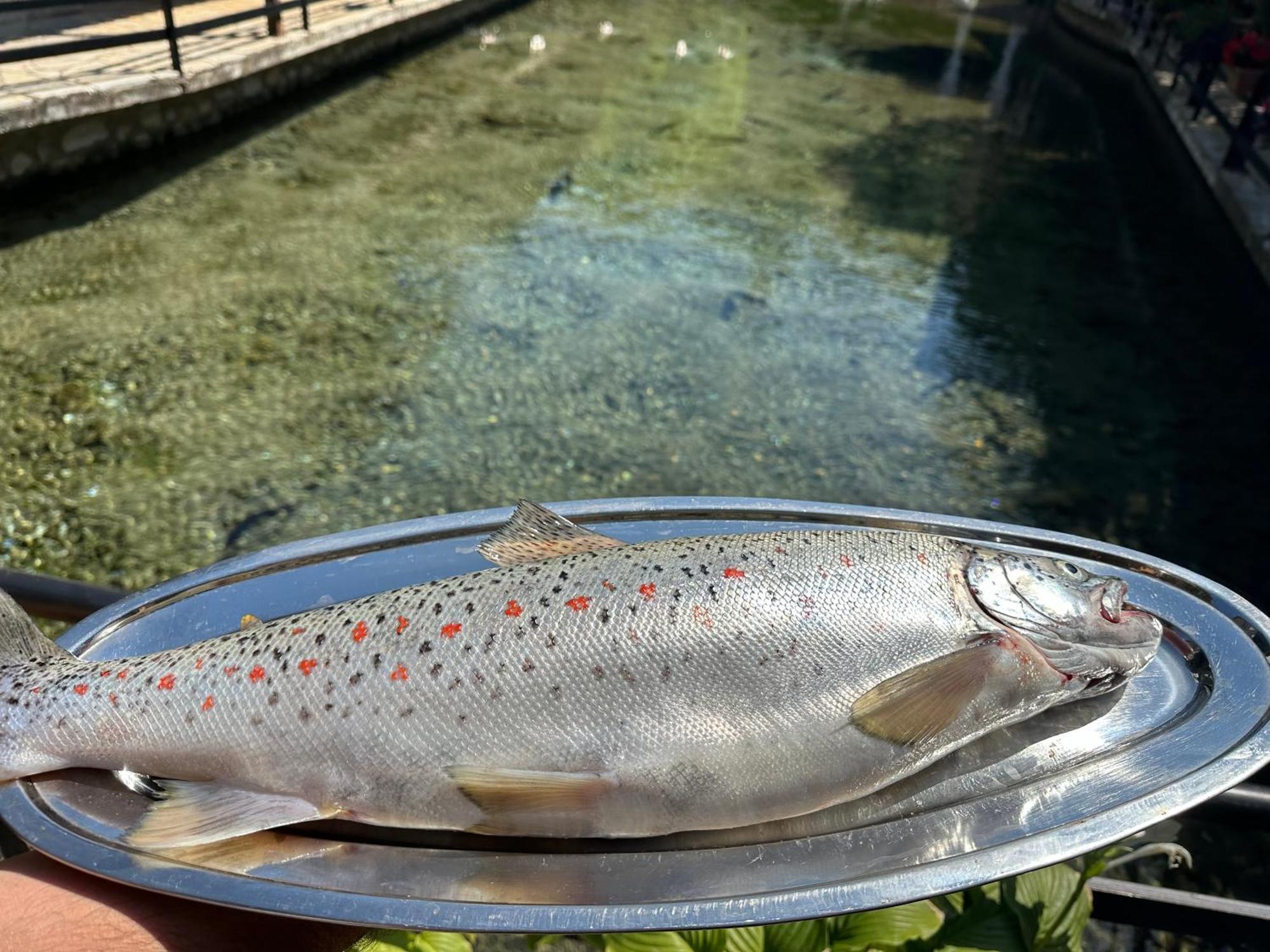 Rritja E Koranit Hotel Tushemisht Luaran gambar